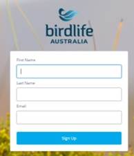 Screen requesting name and email.